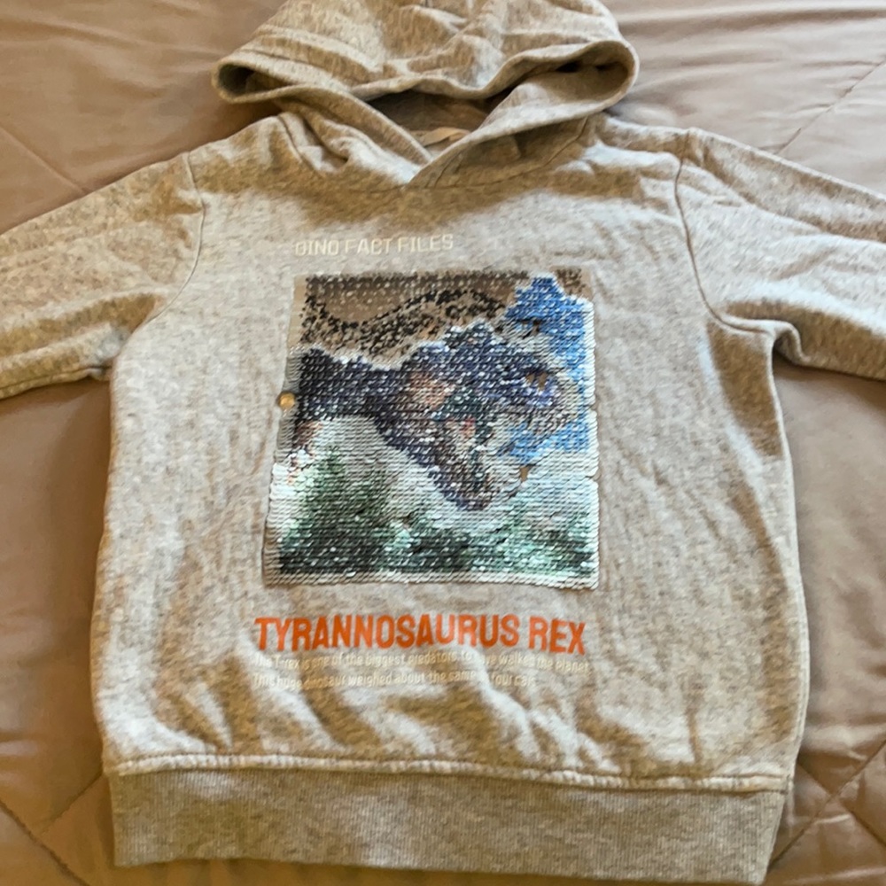 H&M Boys Sweater